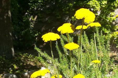 B&B Villaggio Sole Sulmona Extérieur photo
